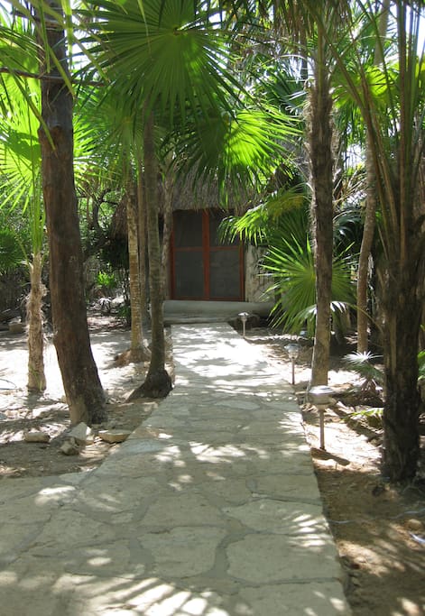 CAMINO A LA COCINA / WAY TO KITCHEN