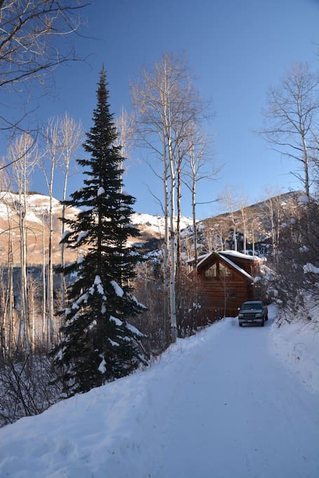 Privacy and views