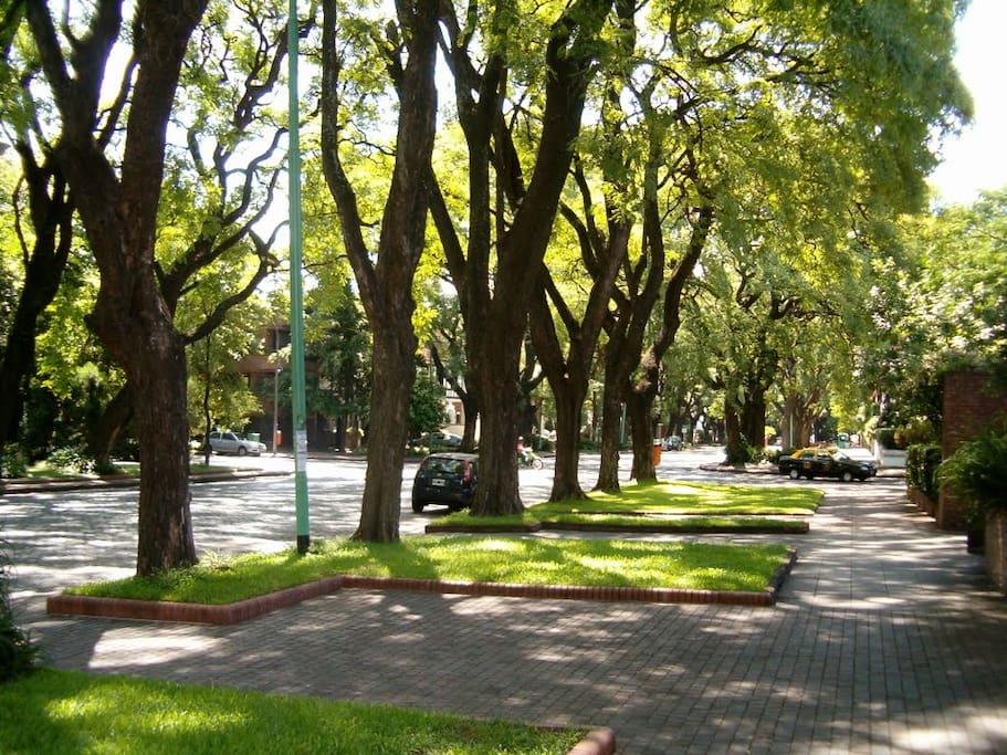 Vista Exterior: Av. Melián!