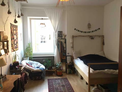 Super cozy room in the oldtown of Heidelberg