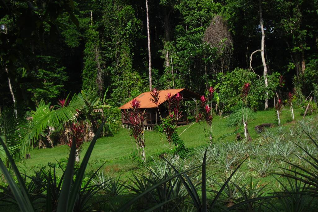 Cabaña Congo