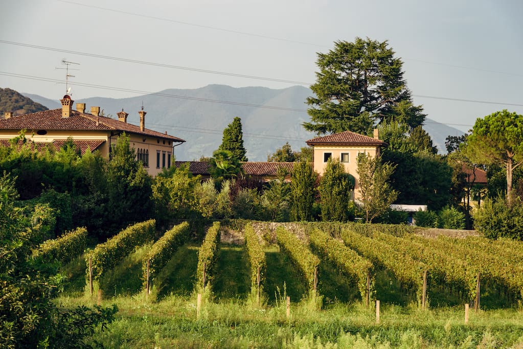 E' immersa nella tranquillità e nel silenzio per godervi appieno la vacanza in relax.