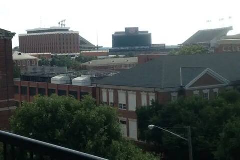 Luxury Penthouse in the Heart of Beautiful Auburn