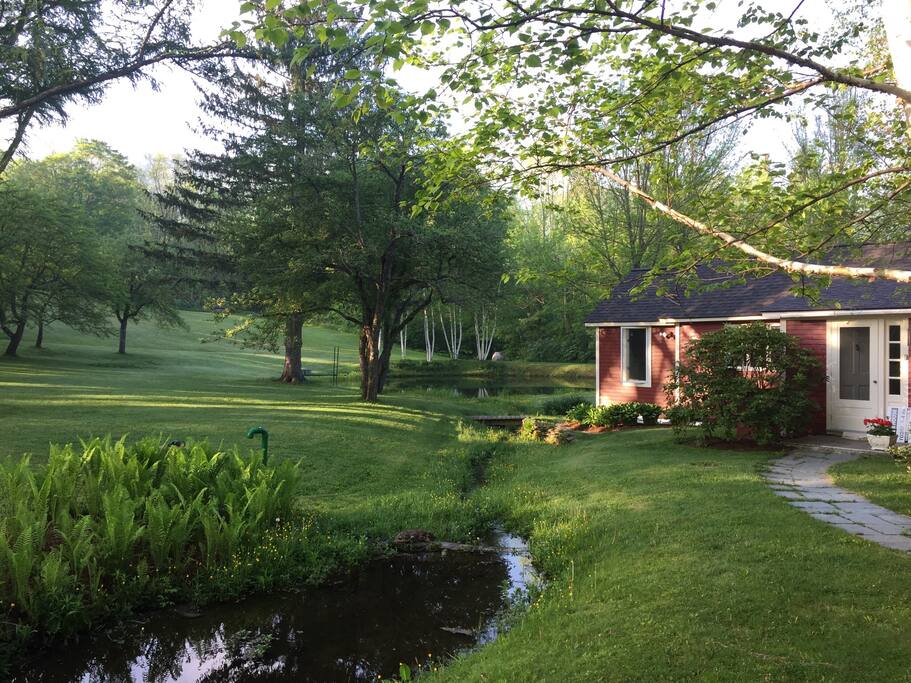 large lawn to left where we play croquet and volleyball,etc.. also apple trees to pick apples in the fall.