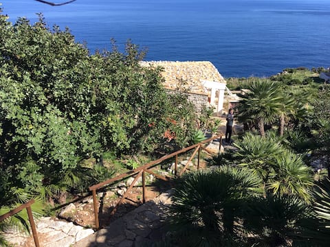 SEA FRONT "Le Palmette" 2/4 guests, WIFI free