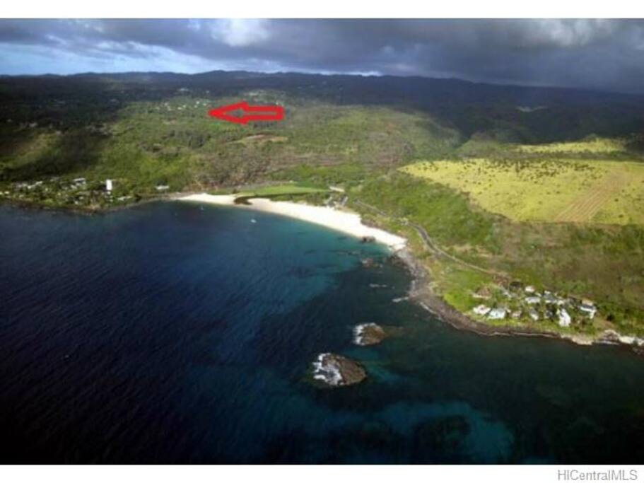 Waimea Bay