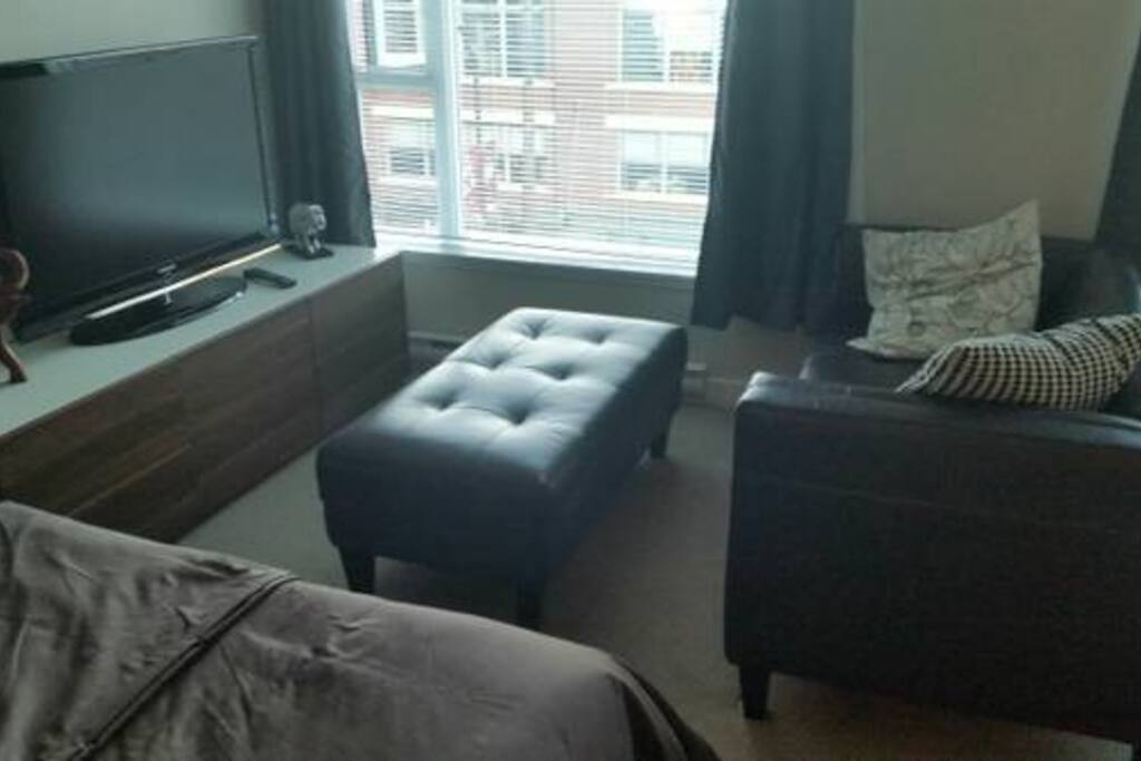 Bright sunny window, 48" TV, leather couch to relax in