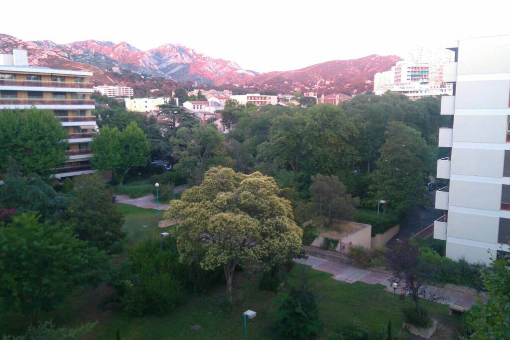 la vue depuis le salon terasse