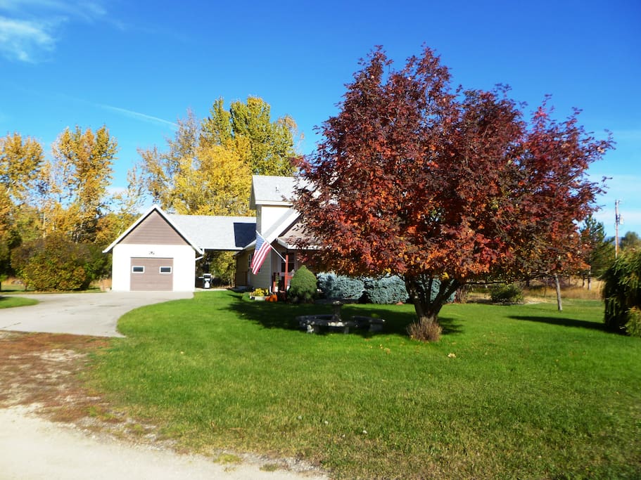 Fall Colors
