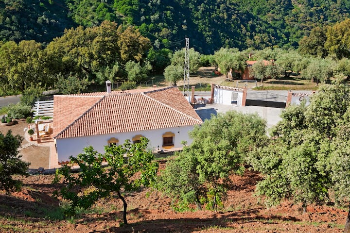 Finca Mazuqueto Casa Con Grandes Vistas Aislada Casas Rurales En Alquiler En Jubrique Andalucia Espana