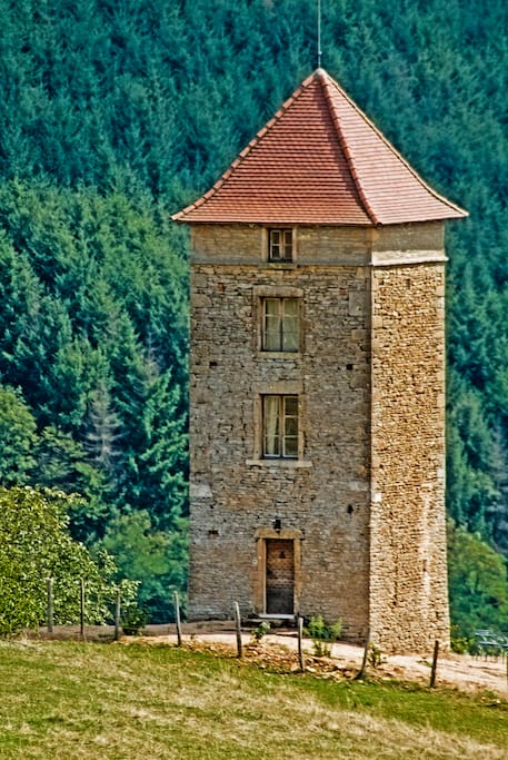 La Tour du Pavillon Donzy le Pertuis (l'annee de construction avant 1611).