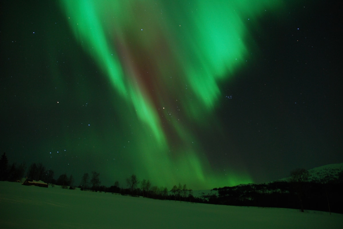 A stunning display of the northern lights illuminates the night sky, with vibrant shades of green and hints of red dancing among the stars. A serene landscape is visible below, blanketed in snow, enhancing the ethereal beauty of the natural phenomenon.
