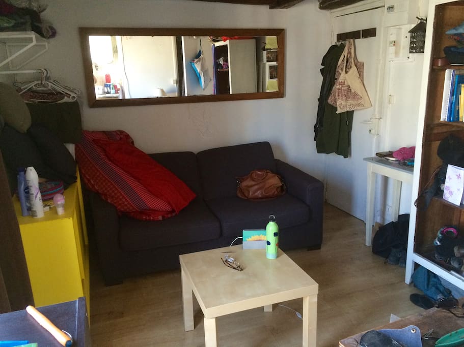 Studio with pull-out bed