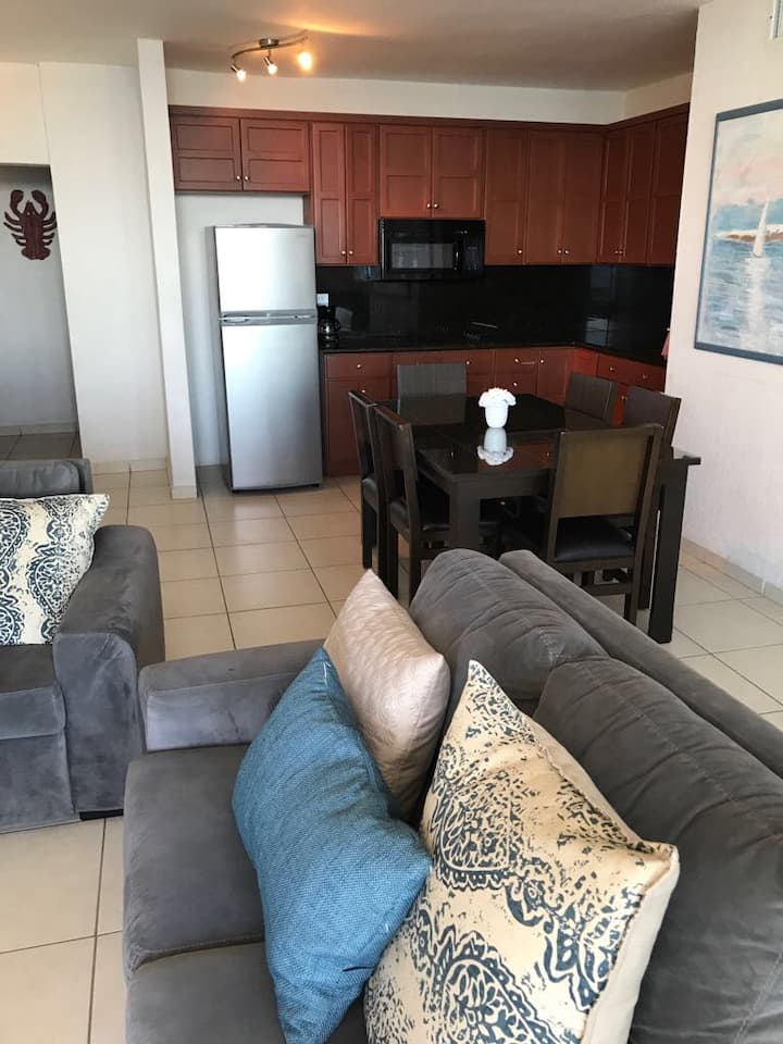 708 ocean view condominium in Posada Apartments for Rent in San