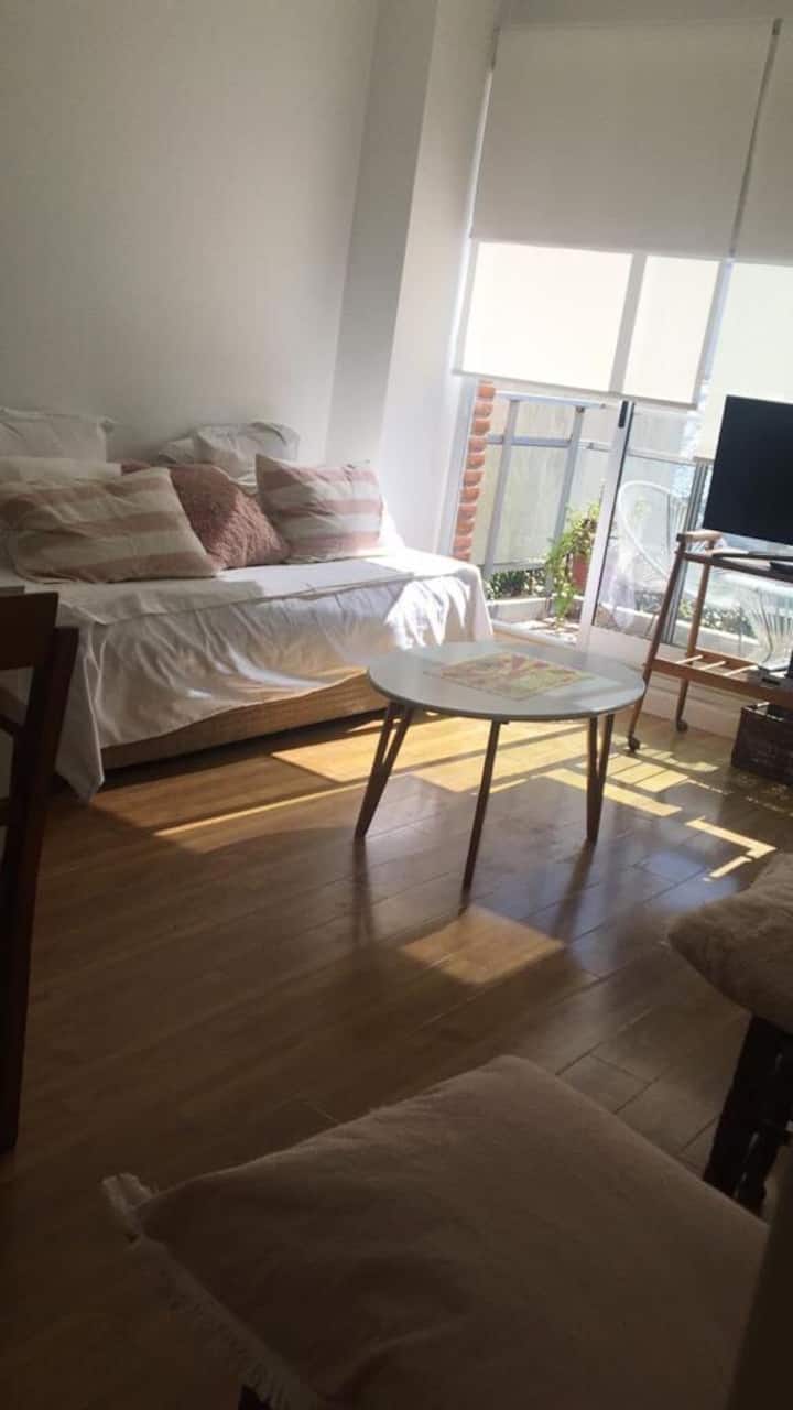 Studio apartment in Colegiales