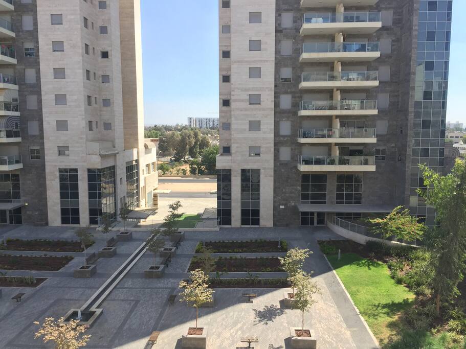 The room view