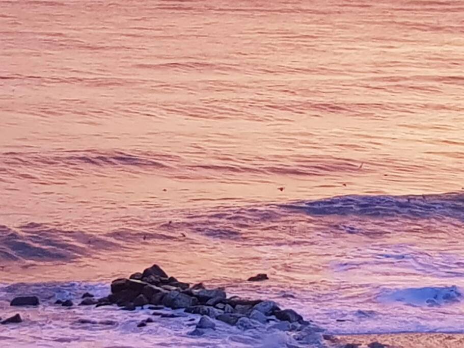 strand von porto recanati.zu fuss 5 min.