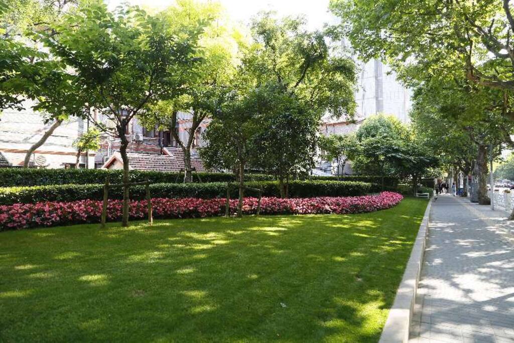 紧邻北京西路 市政绿化带