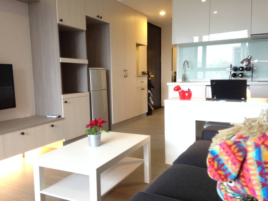 Modern upscale studio