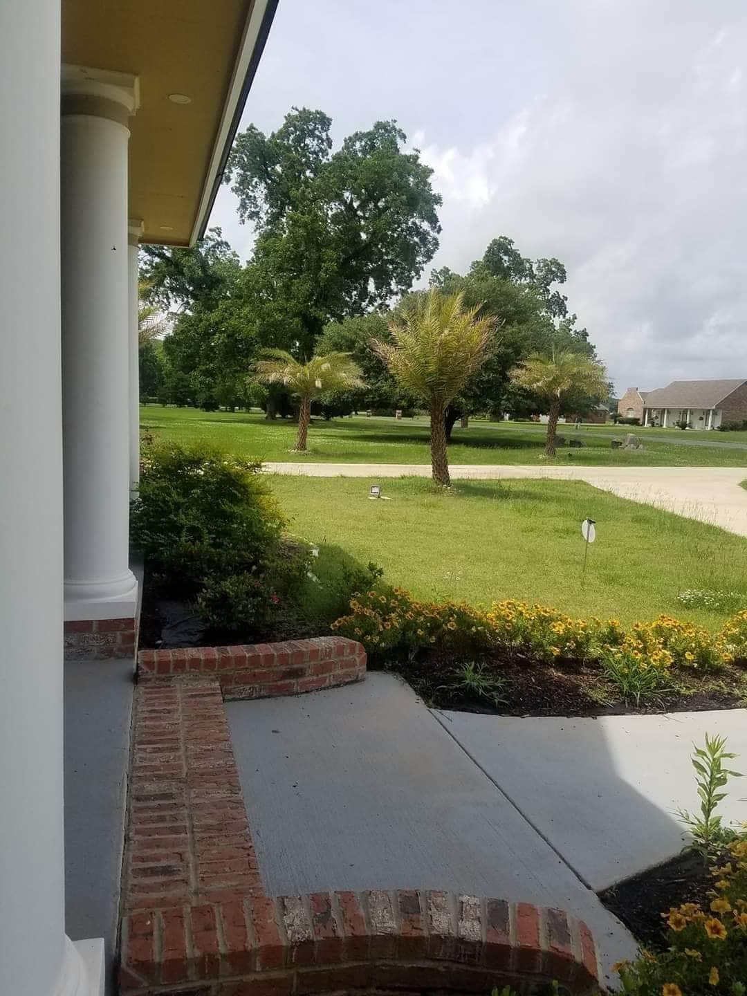 A view from the porch showcases a lush green lawn adorned with palm trees. Flowering plants border the walkway, adding vibrant colors to the scene. The background reveals a spacious yard with distant homes, contributing to a serene atmosphere.