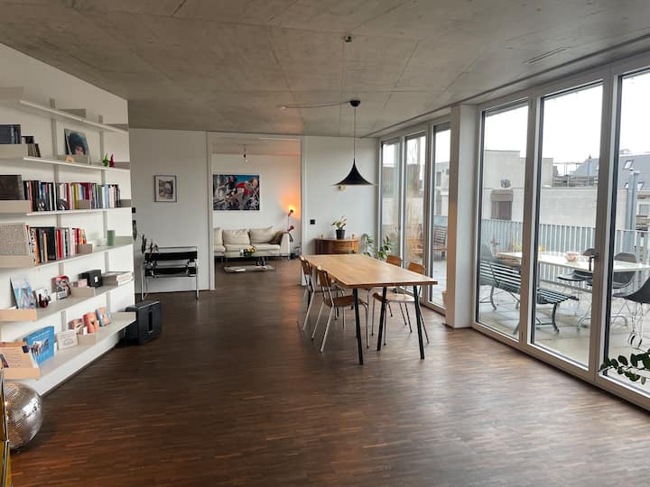 Dream apartment with roof terrace in circle 4 Apartments for Rent in