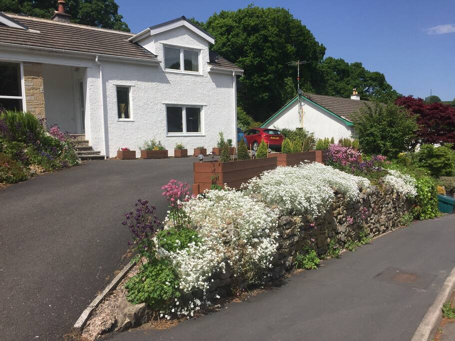 Mintside Drive