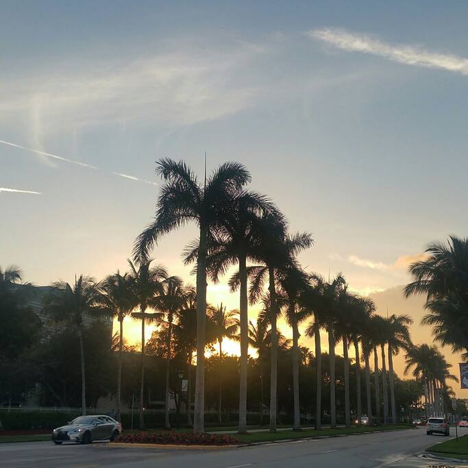 Right outside our building!
