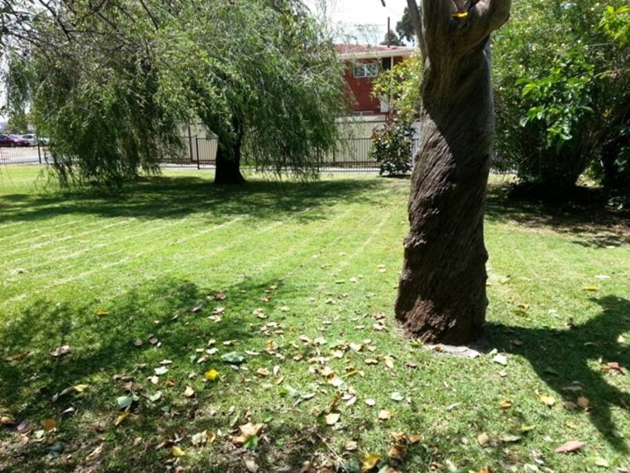Nicely manicured lawns and gardens