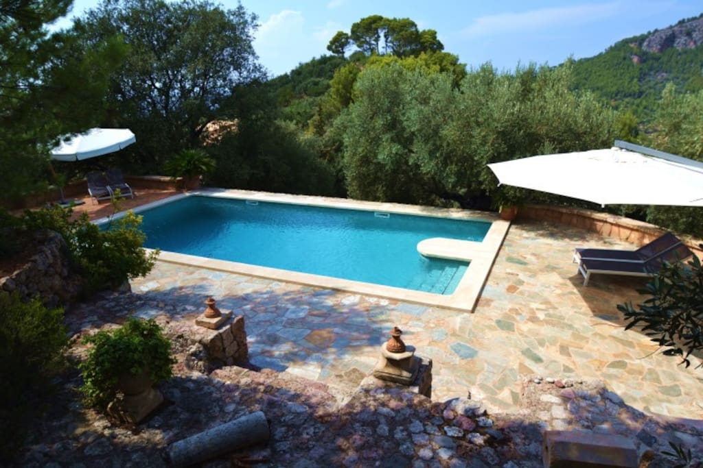 pool area