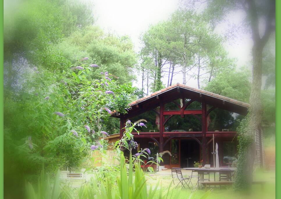 entre forêt et mer