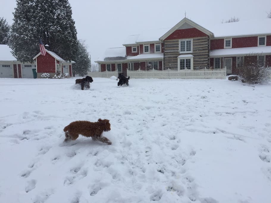 Winter at The Maple House