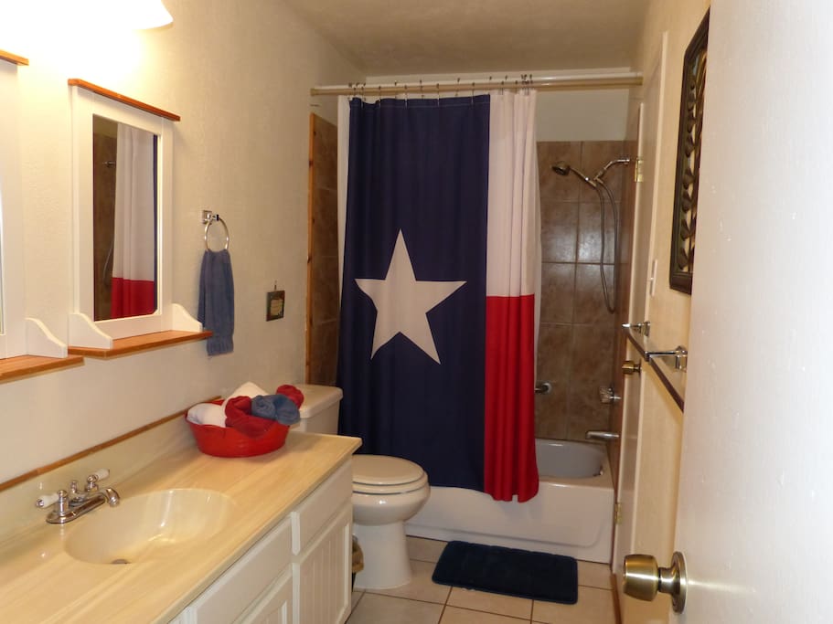 upstairs bathroom is Texas proud