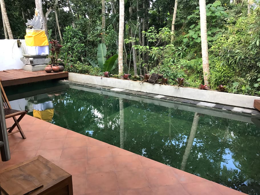 Private Pool overlooking the jungle