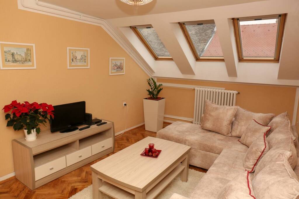 The living room with one couch that can be made into a sofa for two people to sleep on.