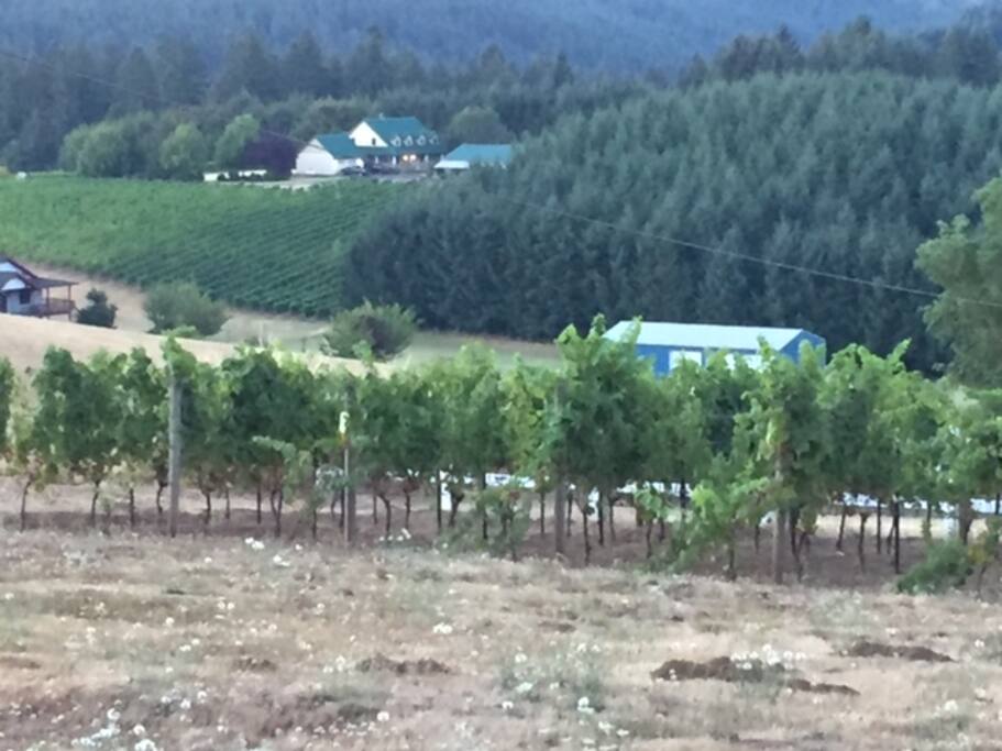 View of neighboring Farm