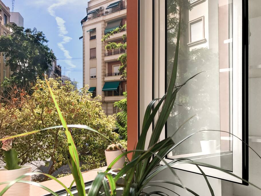 Ventana orientación sur en chaflán