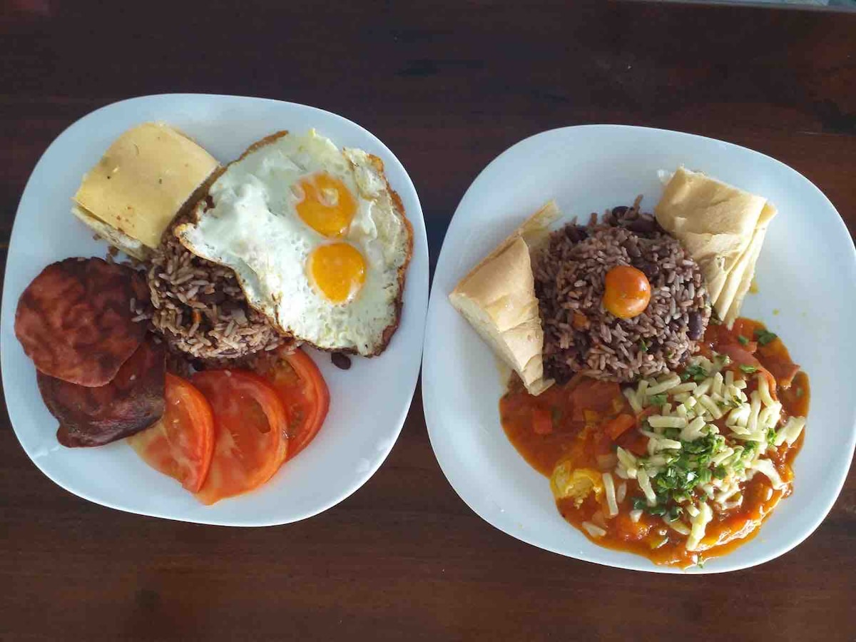 Two plates of traditional Costa Rican food are displayed. One plate includes fried eggs, rice and beans, plantains, and fresh tomato slices. The other features rice served with a savory sauce, accompanied by tortillas and a colorful mix of vegetables topped with herbs.
