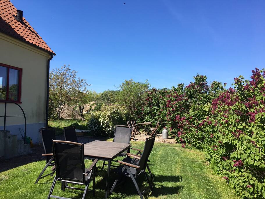 Lovely big sunny garden with fruits and flowers