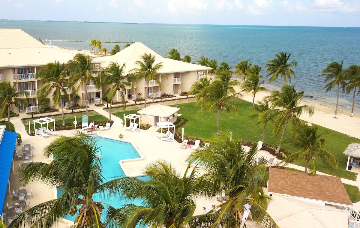 An aerial view of the resort showcases the inviting pool surrounded by palm trees and lounge chairs. The ocean stretches in the background, with the sandy shoreline visible. The two-story buildings blend with the lush greenery, creating a relaxing coastal environment.