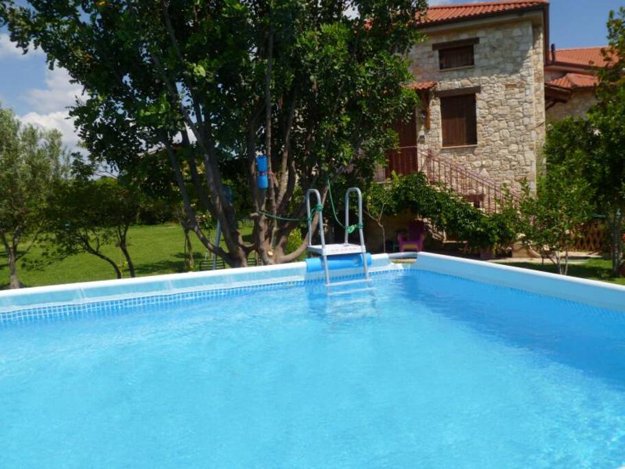 Steliana's swimming pool
