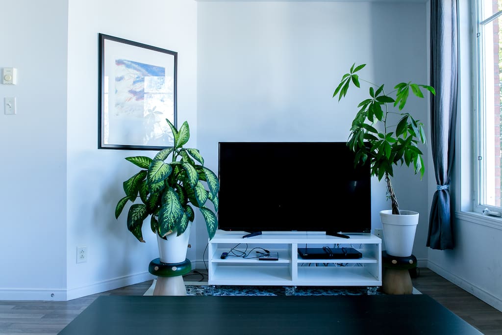 42" television with netflix