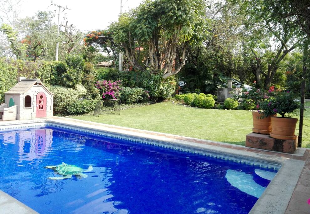 Alberca y jardín