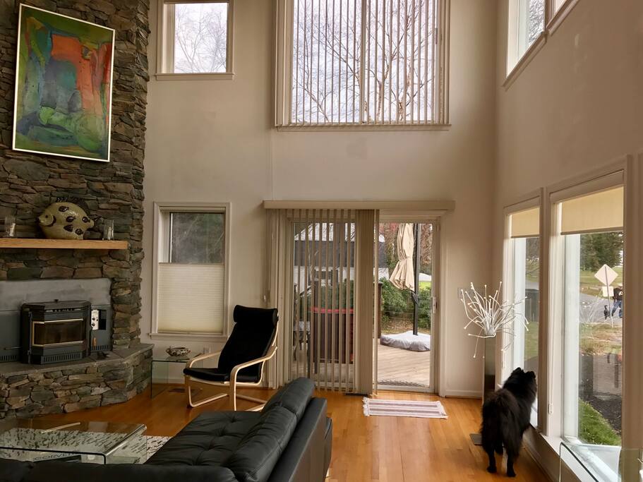 Main deck common area with contemporary flair.