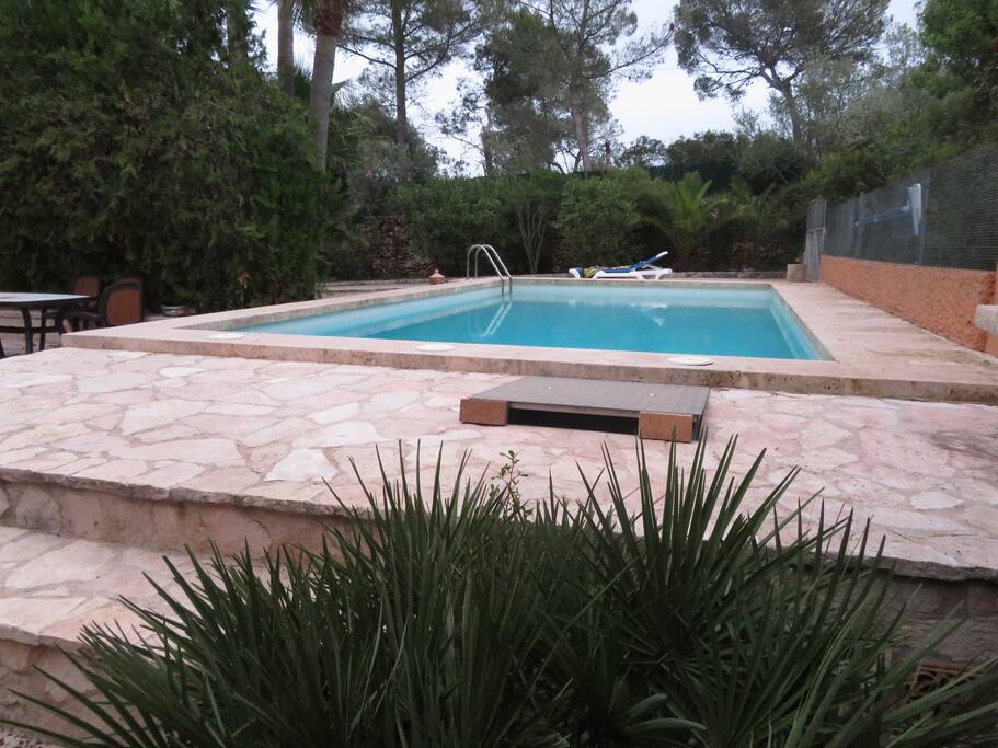 Outdoor pool area