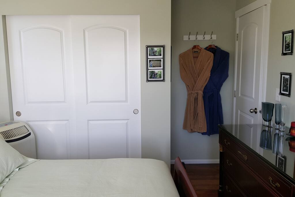 Guest Bedroom: Spacious Closet with shoe racks, Guest Robes.