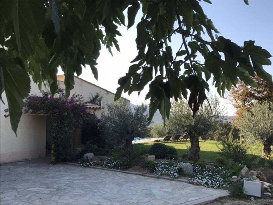 Entrée