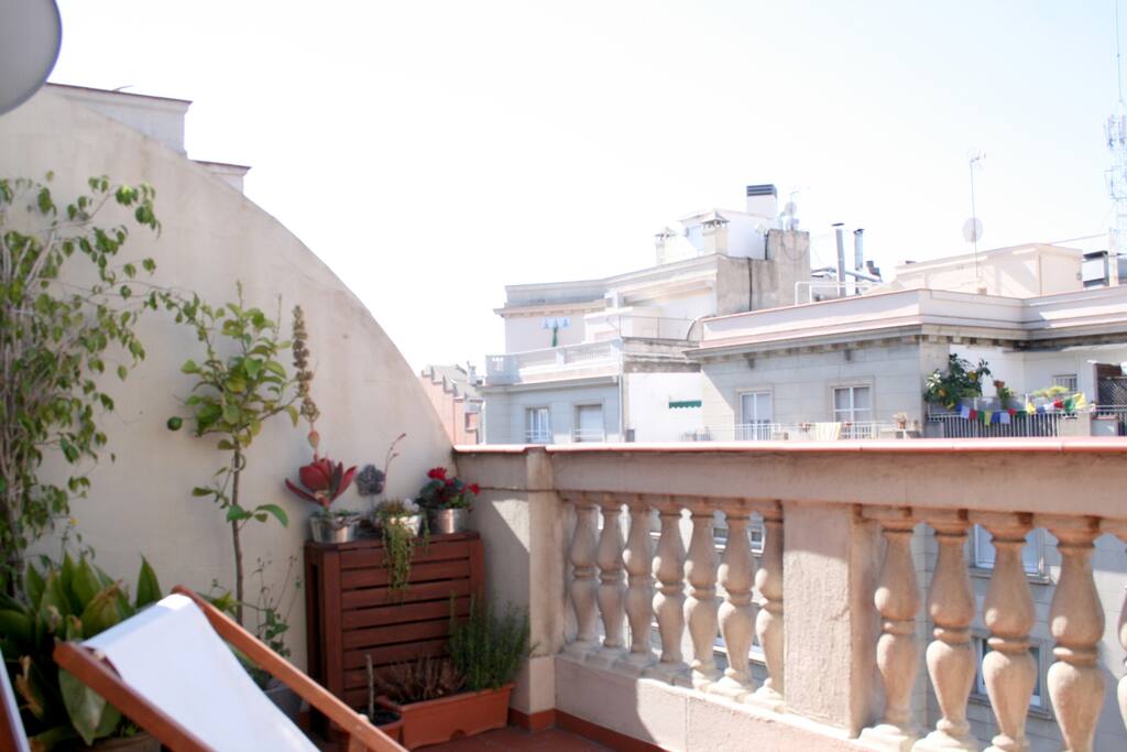 Terraza - 3
