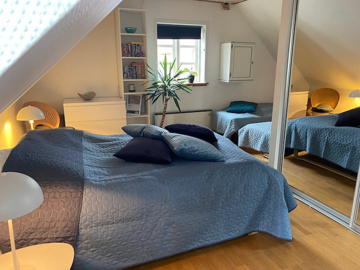 habitación 3. Una cama doble y 2 camas individuales. 