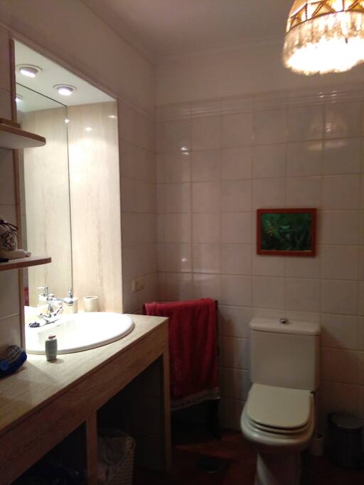 Este baño está dentro de la habitación matrimoal