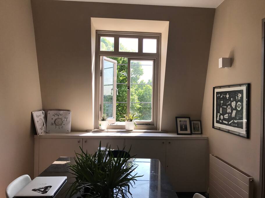 Garden View from Living Room